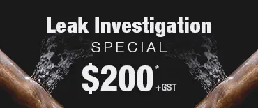 Leak Investigation Discount Sunnynook